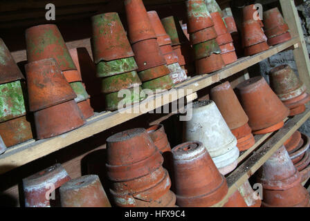 Mary Keen's potting shed in her garden in Gloucestershire,UK Stock Photo