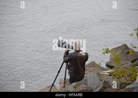 A photographer with a large telephoto lens photographs bald eagles fishing on the Susquehanna River below the Conowingo Dam. Stock Photo
