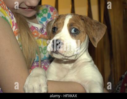 Little Girl Holding Her New Smiling Puppy Stock Photo