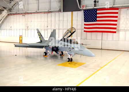 100330-N-9565D-078 ANDREWS AFB, Md. (March 30, 2010) An F/A-18 Super Hornet from Air Test and Evaluation Squadron (VX) 23 with green markings and the U.S. Department of the Navy Energy Security logo is in the hangar at Andrews Air Force Base. VX-23 will be testing the full envelope of the Super Hornet with a drop in replacement biofuel made from the camelina plant in an effort to certify alternative fuels for naval aviation use. (U.S. Navy photo by Mass Communication Specialist 2nd Class Clifford L. H. Davis/Released) US Navy 100330-N-9565D-078 An F-A-18 Super Hornet from Air Test and Evaluati