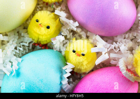 Two Chenille chicks and colorful Easter eggs. Stock Photo