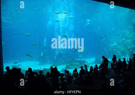 101011-N-6778P-005  ATLANTA (Oct. 11, 2010) Guests observe Navy divers assigned to Trident Refit Facility in Kingsbay, Ga. as they dive in a tank at the Georgia Aquarium. (U.S. Navy photo by Mass Communication Specialist 1st Class Ruben Perez/Released) US Navy 101011-N-6778P-005 uests observe Navy divers assigned to Trident Refit Facility in Kingsbay, Ga. as they dive in a tank at the Georgia Aqua Stock Photo