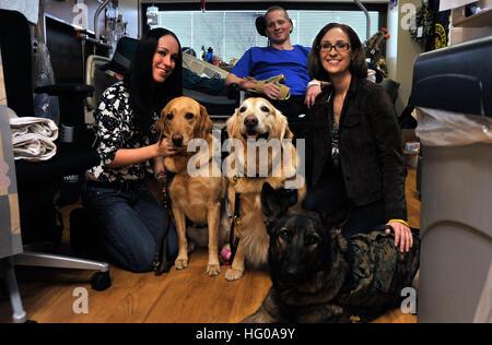 111205-N-RE933-019 BETHESDA, Md. (Dec. 5, 2011)   Therapy dogs Lt. Cmdr. Bobbie, Rear Adm. Laura Lee and Marine Sgt. Archie pose for a photo with Army Pfc. Derek McConnell and his fiancee, Krystina Dressler, and his mother, Siobhan McConnell, in McConnell's hospital room at Walter Reed National Military Medical Center. The dogs visit daily with wounded warriors and their families and help with physical therapy. (U.S. Navy Photo by Mass Communication Specialist 1st Class Peggy Trujillo/Released) US Navy 111205-N-RE933-019 Army Pfc. Derek McConnell and his family pet therapy dogs Stock Photo
