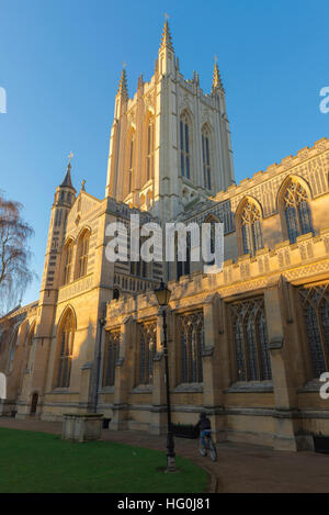 Bury St Edmunds cathedral, view of the south aspect and Millennium Tower of St Edmundsbury Cathedral, Bury St Edmunds, Suffolk, UK Stock Photo