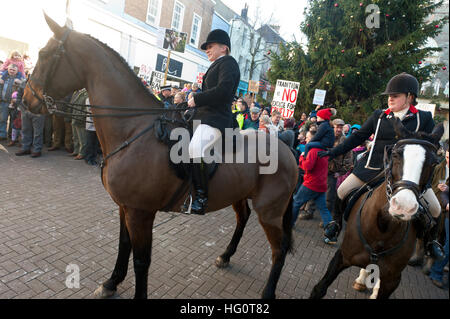 Carmarthen, Carmarthenshire, Wales, UK. 2nd January, 2016. Horse get anxious with the crowds. Anti-Bloodsport activists gather in the Welsh town of Carmarthen to voice their anger at the continued illegal hunting with dogs - hunting with dogs was made illegal in 2004 by The Hunting Act 2004 (c37). The Anti-Hunt protest takes place on the day that the Carmarthenshire Hunt have chosen to parade through the town to collect money and support for their blood-sports. © Graham M. Lawrence/Alamy Live News. Stock Photo