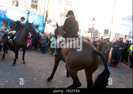 Carmarthen, Carmarthenshire, Wales, UK. 2nd January, 2016. Horse get anxious with the crowds. Anti-Bloodsport activists gather in the Welsh town of Carmarthen to voice their anger at the continued illegal hunting with dogs - hunting with dogs was made illegal in 2004 by The Hunting Act 2004 (c37). The Anti-Hunt protest takes place on the day that the Carmarthenshire Hunt have chosen to parade through the town to collect money and support for their blood-sports. © Graham M. Lawrence/Alamy Live News. Stock Photo