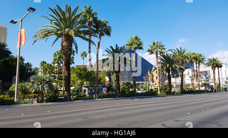 Driving view of the luxor pyramid, behind palmtrees, on s bulevard, in Las vegas, nevada, USA Stock Photo