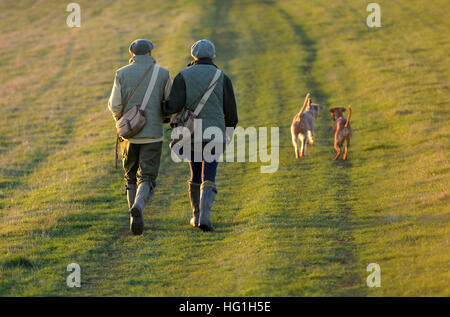 Country couple walking dogs on the South Downs Way Stock Photo