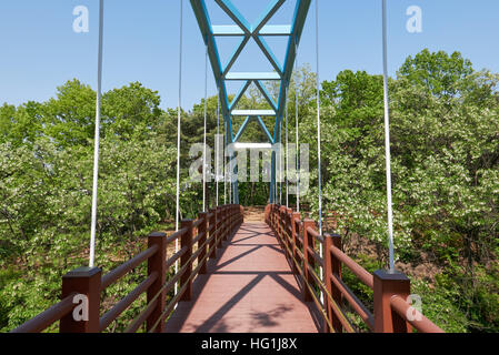 Small Pedestrian Bridge in the form of a cable-stayed bridge in a park Stock Photo