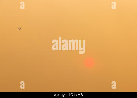 The sun glows red during a forest fire Stock Photo