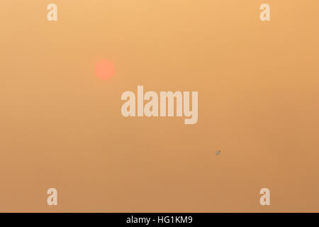 The sun glows red during a forest fire Stock Photo