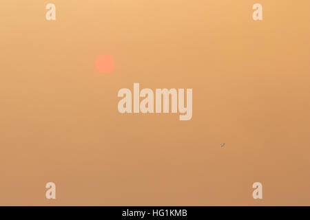 The sun glows red during a forest fire Stock Photo