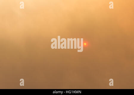 The sun glows red during a forest fire Stock Photo