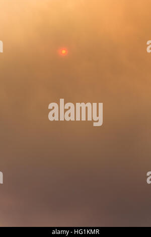 The sun glows red during a forest fire Stock Photo