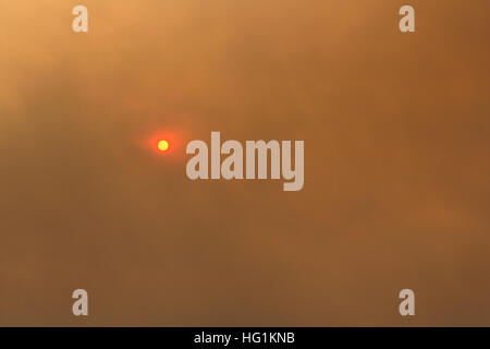 The sun glows red during a forest fire Stock Photo