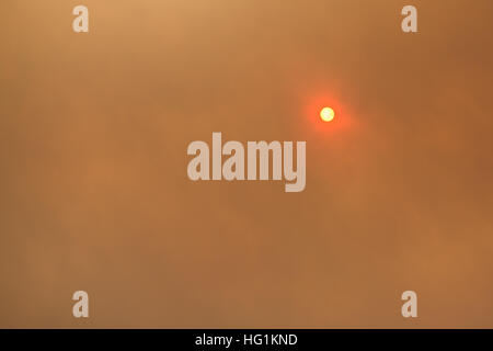 The sun glows red during a forest fire Stock Photo