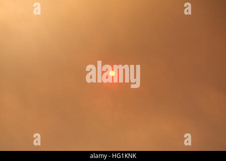 The sun glows red during a forest fire Stock Photo