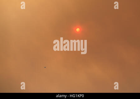 The sun glows red during a forest fire Stock Photo