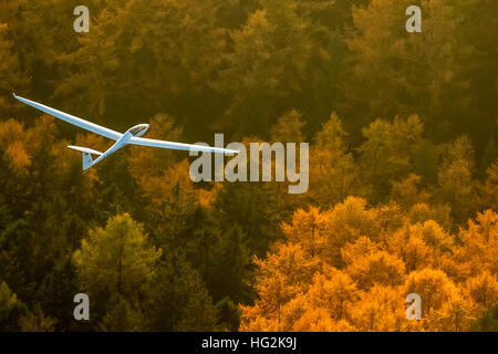 Aerial view, Duo Discus D-5443 from the LSC Oeventrop e.V. over the autumnal forests of Oeventrop, Stock Photo