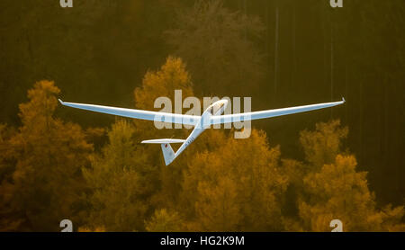 Aerial view, Duo Discus D-5443 from the LSC Oeventrop e.V. over the autumnal forests of Oeventrop, Stock Photo