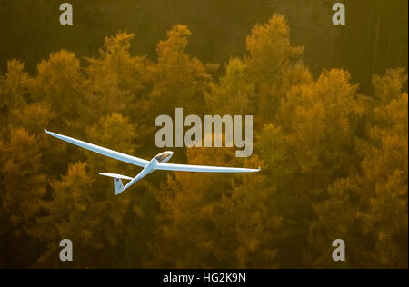 Aerial view, Duo Discus D-5443 from the LSC Oeventrop e.V. over the autumnal forests of Oeventrop, Stock Photo