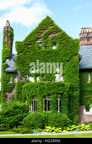 University of Toronto Falconer Hall covered in green foliage Stock Photo