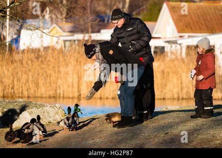 Ronneby, Sweden - January 2, 2017: Documentary of everyday life. Family feeding mallards close to the sea visible in background. Stock Photo