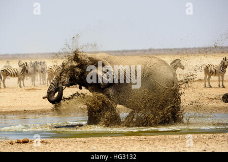 Joyous fun at the waterhole Stock Photo