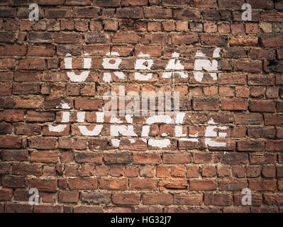 Urban Jungle Written As Graffiti Stock Photo