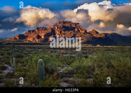 Sunset light on Red Mountain in Mesa, Arizona Stock Photo