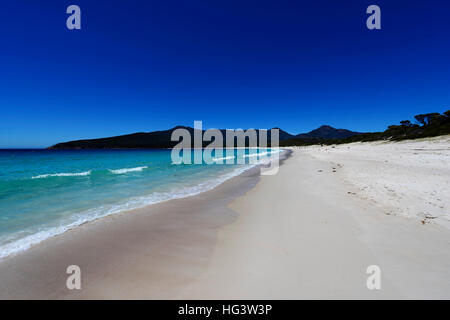 The beautiful beach of Wineglass bay. Stock Photo