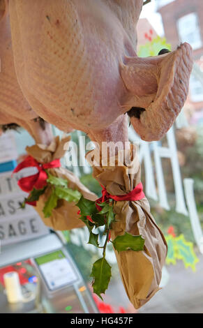 christmas turkey hanging in butcher's shop window, norfolk, england Stock Photo