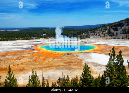 Famous trail of Grand Prismatic Springs in Yellowstone National Park from high angle view. Beautiful  hot springs with vivid color blue green orange i