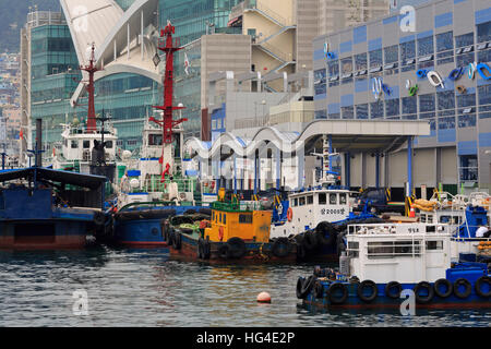 Jagalchi Fish Market, Nampo District, Busan, South Korea, Asia Stock Photo