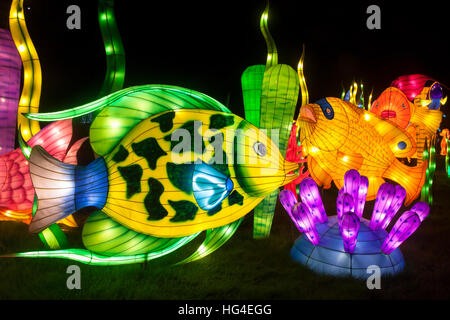 Longleat Festival of Light The Oceans of the World at Longleat Festival of Light, Longleat Estate, Wiltshire, England. 16/01/2016 Stock Photo