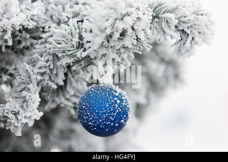 Blue ball on branch of a Christmas tree in frost and snow Stock Photo