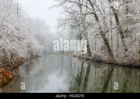 Trees and bushes white of frost on the river banks of the Kromme Rijn (Crooked Rhine) on a cloudy day in winter. The Netherlands. Stock Photo