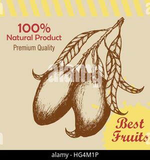 Branch with mango hand drawn vintage style template. Vector illustration Stock Vector