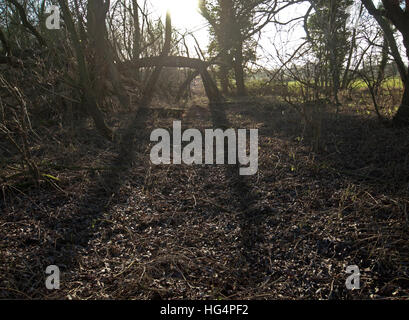 Wintertime in the Suffolk countryside Stock Photo
