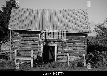 This black and white image of a sawn log cabin with a door and tin roof show the long side of the building. Stock Photo