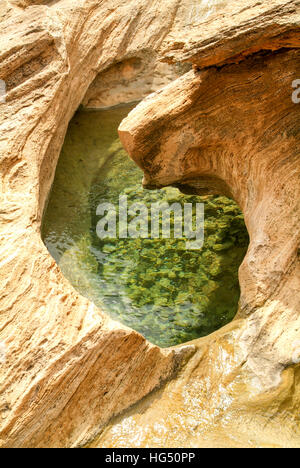 The mountain lake of Homhil on the island of Socotra, Yemen Stock Photo