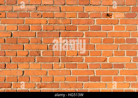Aged red brick wall texture. Old red brick wall texture Stock Photo