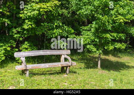 Old wooden bench in a city park Stock Photo