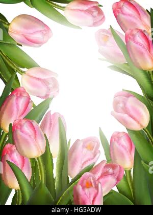 Fresh pink tulips on white background. EPS 10 Stock Vector