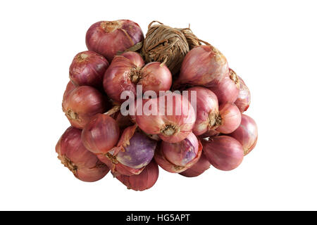 shallots growing on a white background. onion bulb season herb vegetable ingredient. Isolated On White, objects with clipping paths. Stock Photo