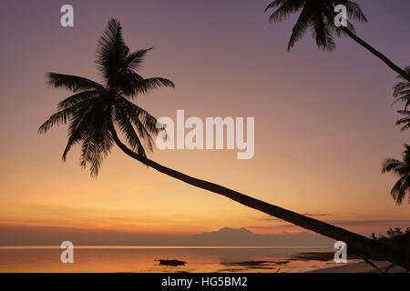 A dusk silhouette of coconut palms at Paliton beach, Siquijor, Philippines, Southeast Asia, Asia Stock Photo