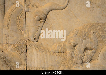 Carved relief of lion overcoming a bull, Apadana Palace, Persepolis, Iran Stock Photo