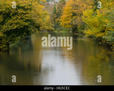 Autumn Colours, Royal Military Canal, Hythe, Kent, UK Stock Photo