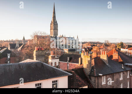 Salisbury cathedral across the rooftops of the city, Salisbury, Wiltshire, England, United Kingdom Stock Photo