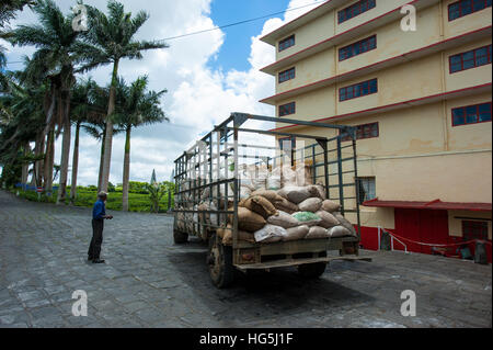 Bois Cheri Tea Factory and Tea Museum in Mauritius. Stock Photo